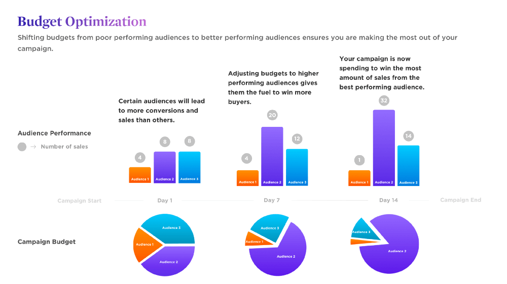 budget optimization