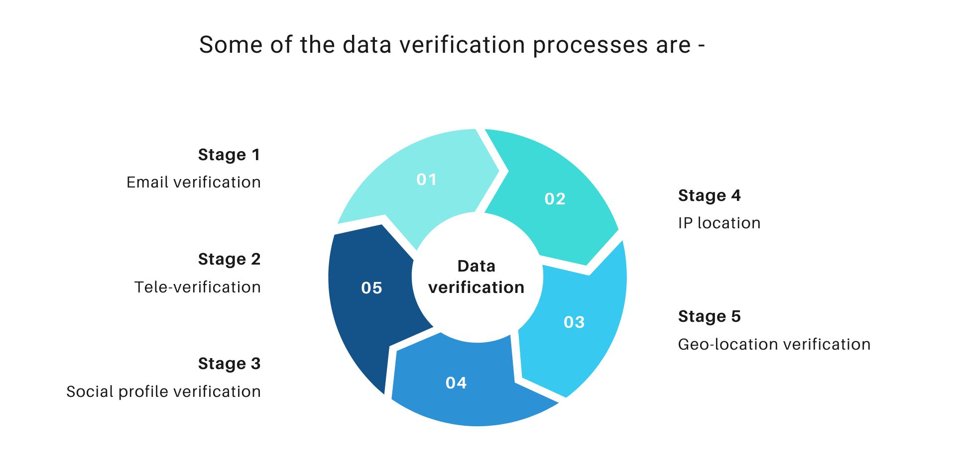 data-verification