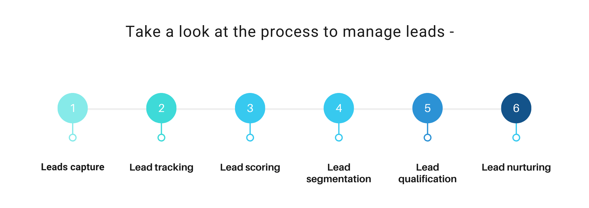 lead-management